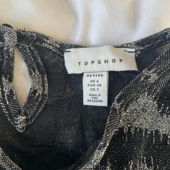 Topshop Semi Sheer Silver Stripe Metallic Top
Size 2 - Picture 3 of 4